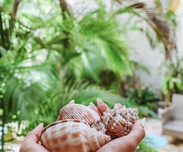 Coco Rio By Hospitality Wellbeing Hotel